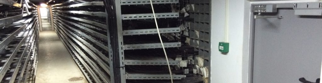 Монтаж оптоволоконного кабеля в лотке на ТЭЦ